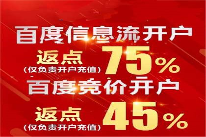 行业专家解析SEM代运营成功案例
